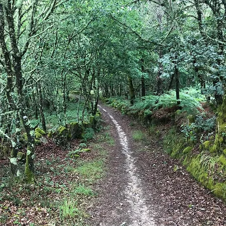 Ferienhaus Casa Do Porto *