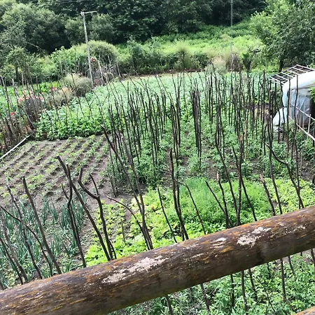 Feriehus Casa Do Porto