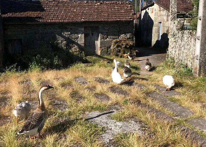 度假居 Casa Do Porto Partovia